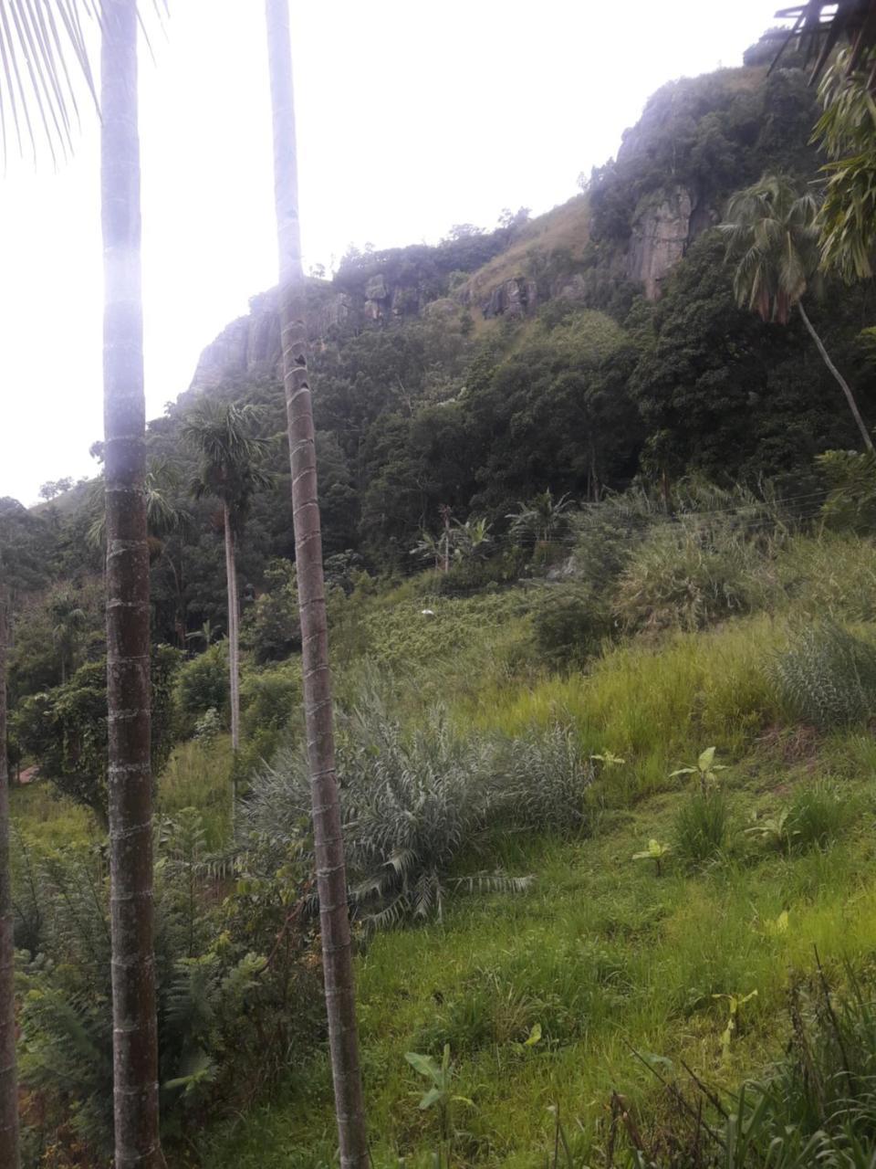 Adam'S Apple Homestay Ella Bagian luar foto